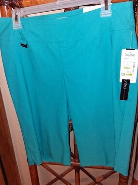 Peck & Peck Turquoise Pants